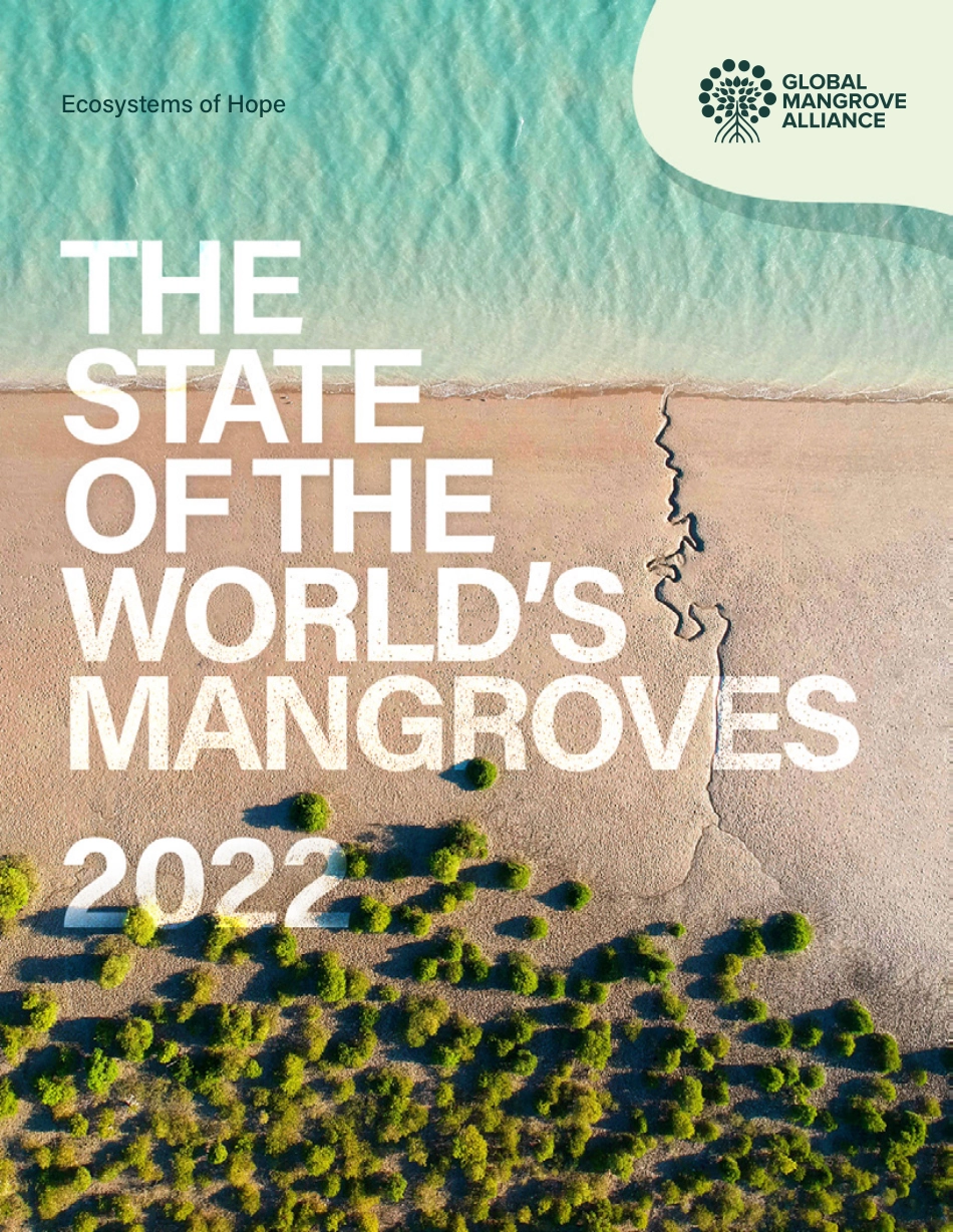 全球红树林联盟发布新版《2022全球红树林状况报告》_第1页