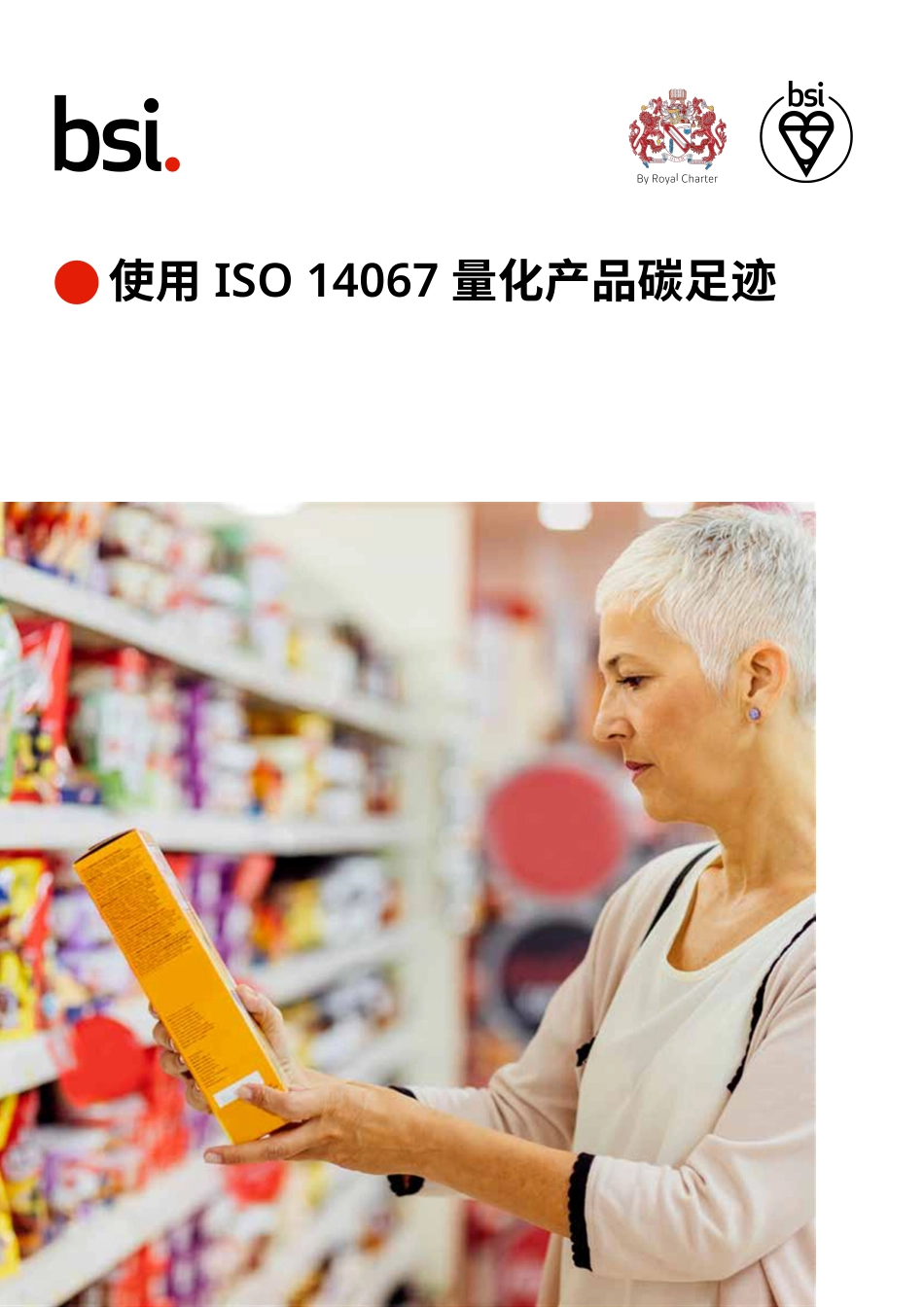 使用 ISO 14067 量化产品碳足迹-bsi_第1页