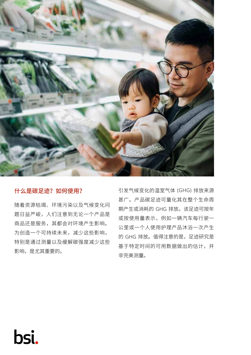 使用 ISO 14067 量化产品碳足迹-bsi_第2页