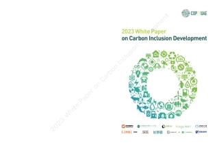 2023 White Paper on Carbon Inclusion Development