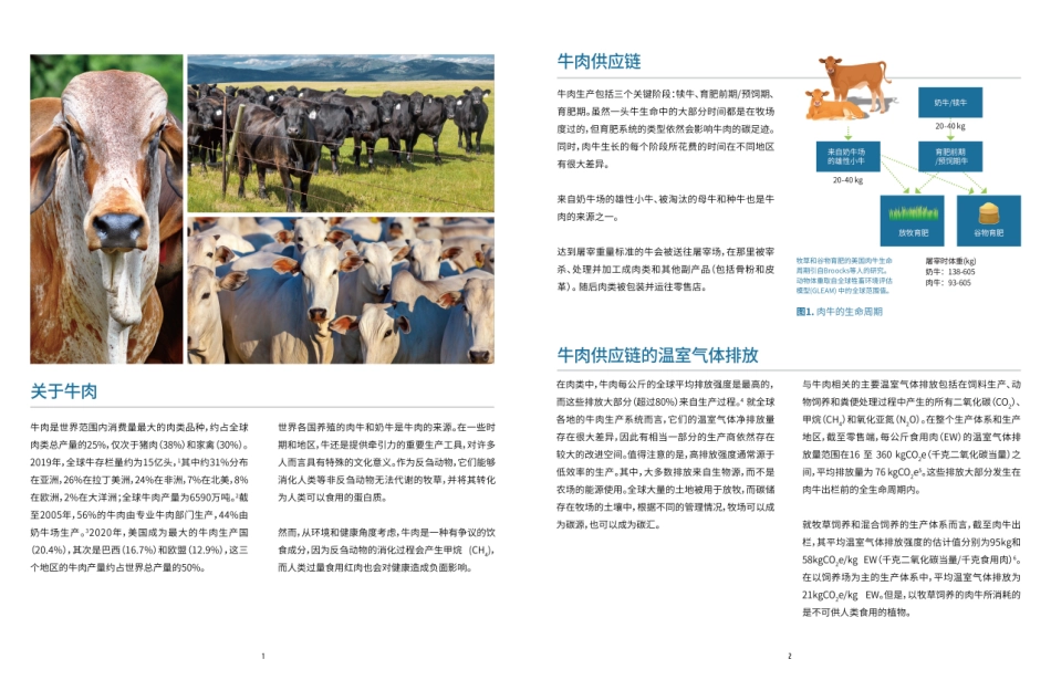 温室气体排放的测量与减缓：牛肉--世界自然基金会_第2页