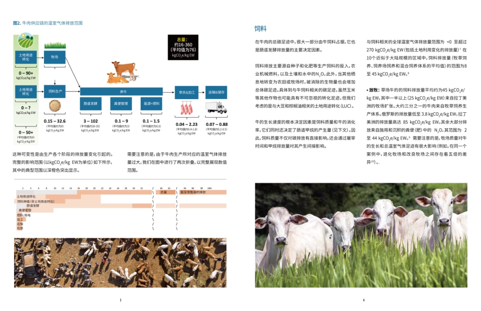 温室气体排放的测量与减缓：牛肉--世界自然基金会_第3页