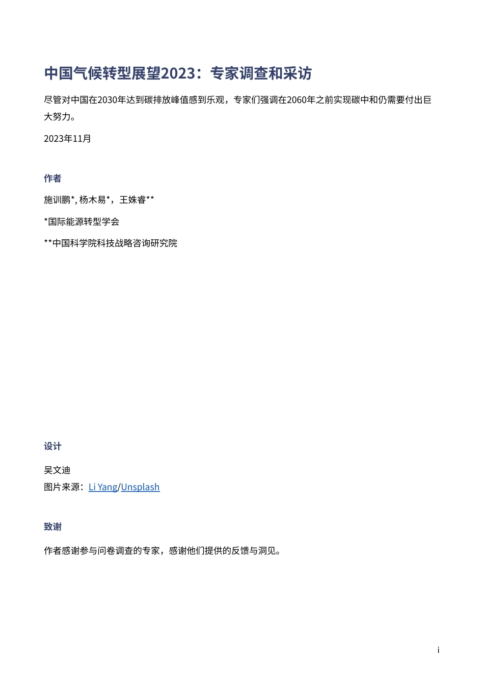 中国气候转型展望2023：专家调查和采访--CREA_第2页