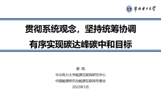 曾鸣：如何推动新型电力系统建设？