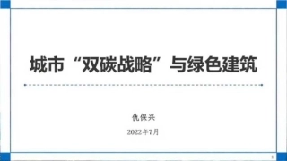 12、城市双碳战略与绿色建筑-202207-仇保兴-图片版PPT-29页