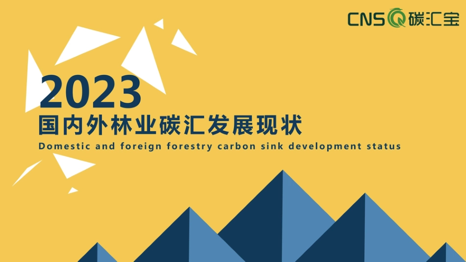 2023国内外林业碳汇发展现状-17页_第1页