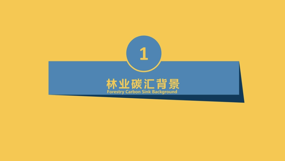 2023国内外林业碳汇发展现状-17页_第3页