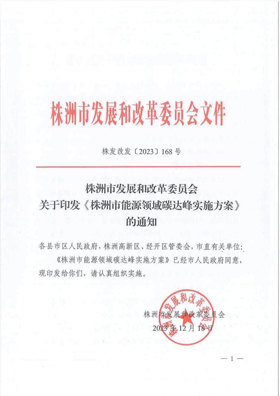 【政策】株洲市能源领域碳达峰实施方案_第1页