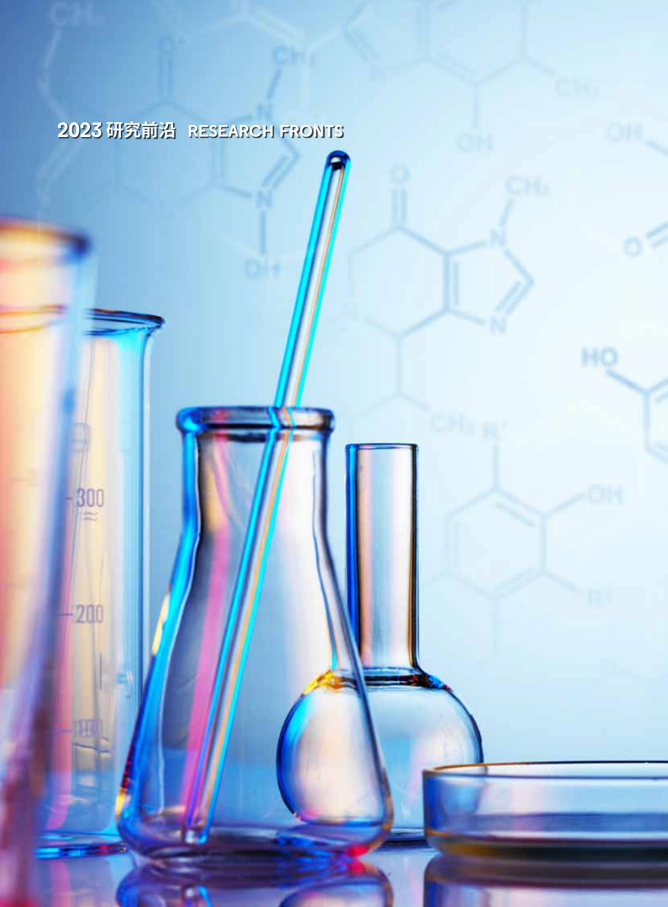 2023研究前沿--ZG科学院_第2页