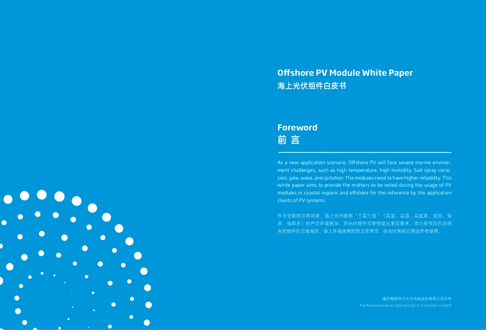 天合光能《海上光伏组件白皮书》_第2页