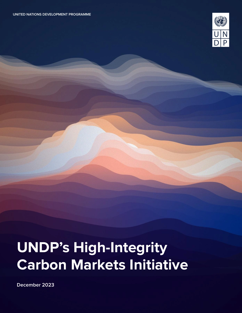 UNDP的高诚信碳市场倡议（英文版）--联合国开发计划署_第1页