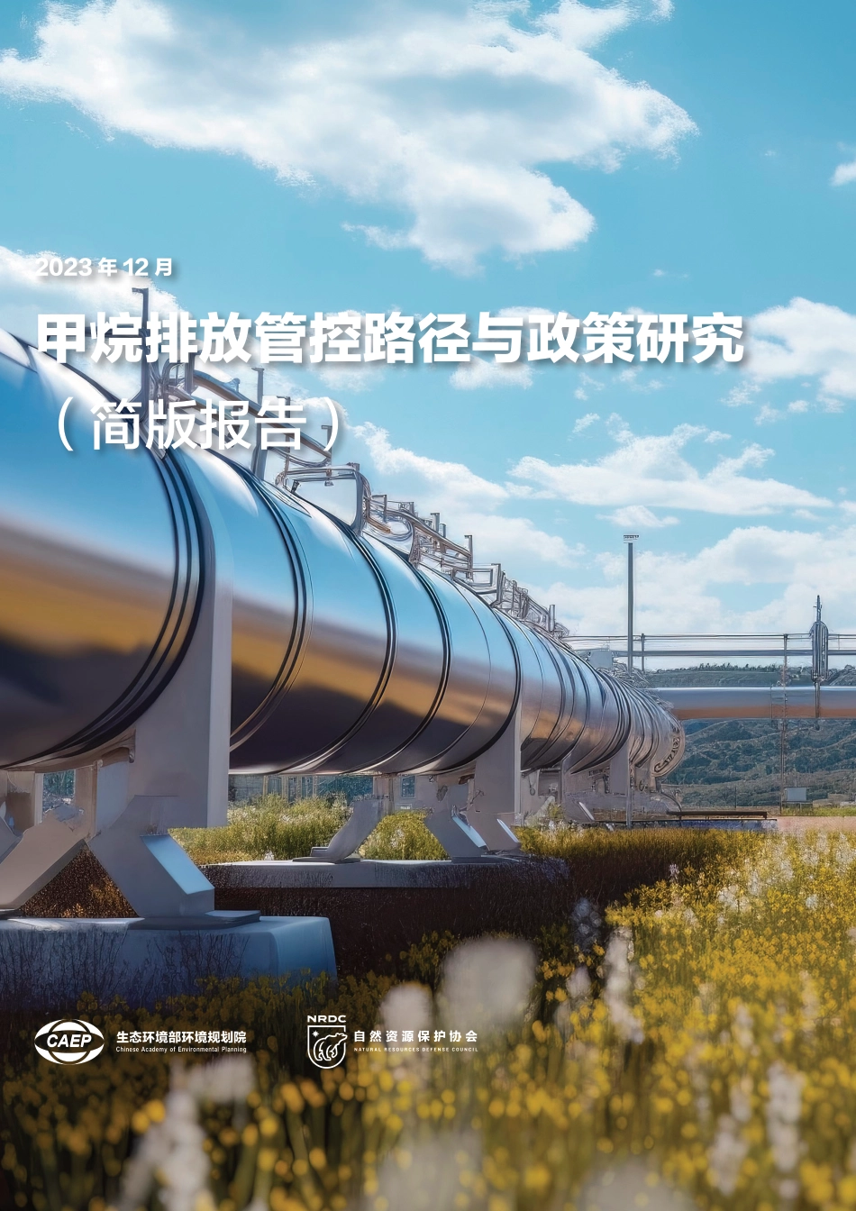 2023年中国甲烷排放管控路径与政策研究（简版报告）-自然资源保护协会_第1页