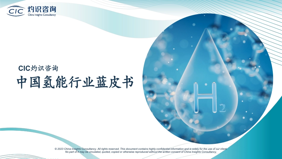 【深度报告】2023中国氢能行业蓝皮书_第1页