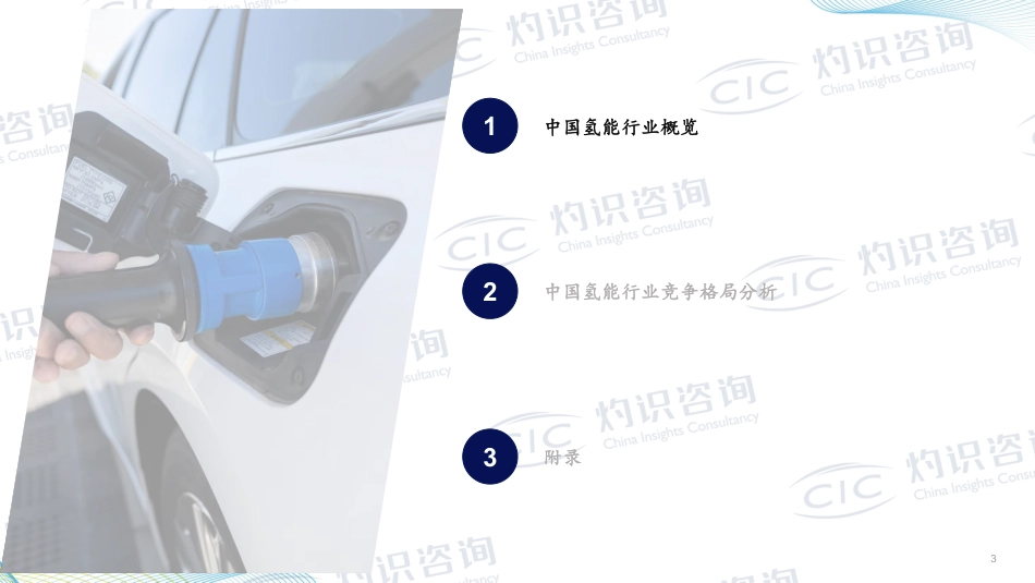 【深度报告】2023中国氢能行业蓝皮书_第3页