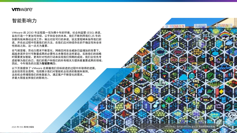 2023年环境、社会和监管报告-vmware_第2页