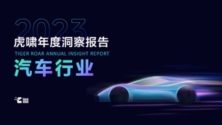 【虎啸】2023年度洞察报告-汽车行业-45页