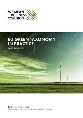 2023欧盟绿色分类法实践白皮书（英文版）--全球商业气候联盟