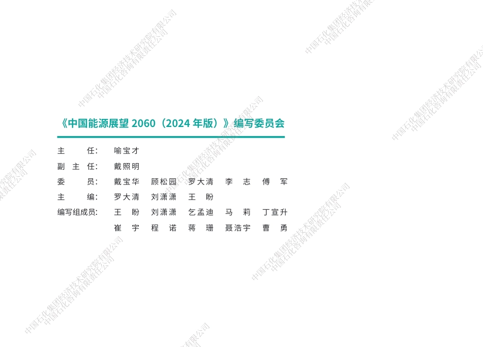中国能源展望2060（2024年版）_第2页
