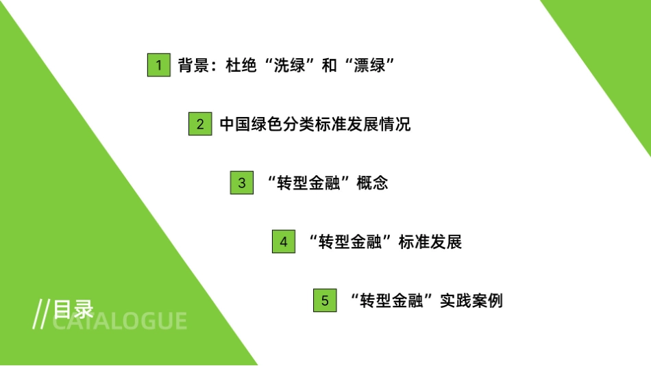 绿色金融与转型金融标准进展--绿色和平_第2页