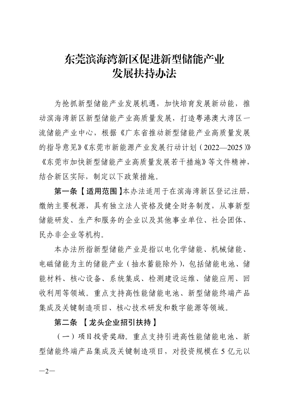 【政策】东莞滨海湾新区促进新型储能产业发展扶持办法_第2页