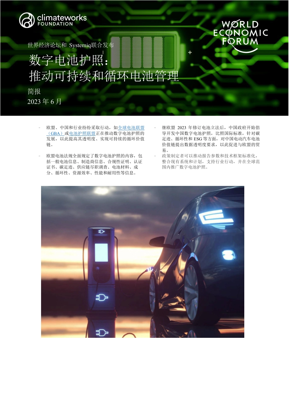 数字电池护照：推动可持续和循环电池管理_第1页