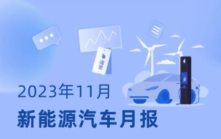 2023年11月新能源汽车市场报告-锂解