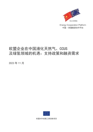 欧盟企业在中国液化天然气、CCUS及绿氢领域的机遇：支持政策和融资需求--中欧能源合作平台