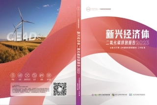 新兴经济体二氧化碳排放报告2023--CEADs