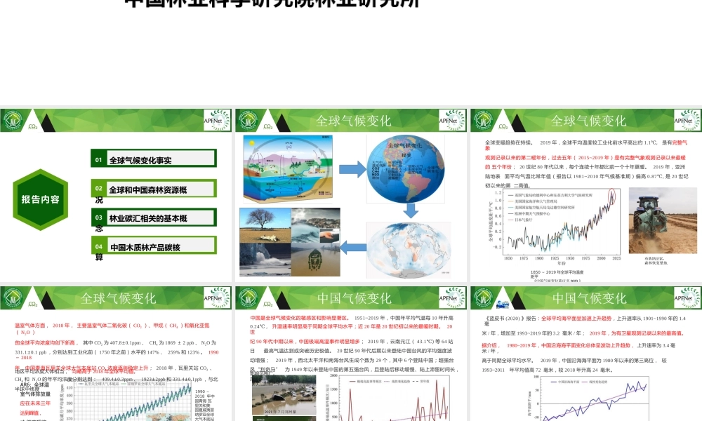 碳中和背景下的森林碳汇基本知识（可编辑版）