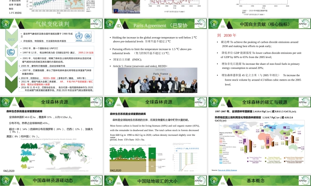 碳中和背景下的森林碳汇基本知识（可编辑版）