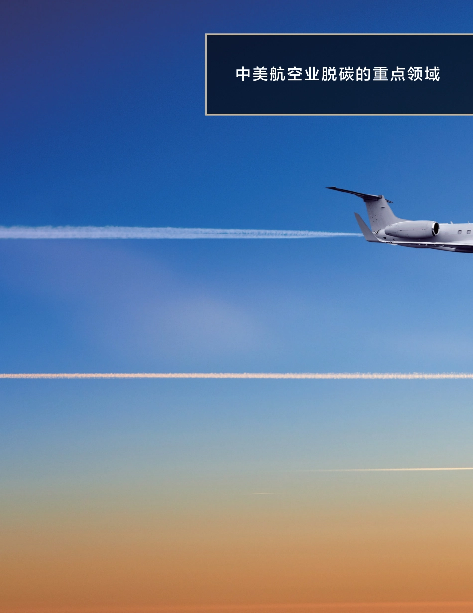 中美航空业脱碳的重点领域_第1页