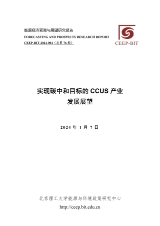 实现碳中和目标的CCUS产业发展展望