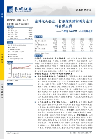 【深度报告】涂料龙头企业，打造绿色建材美好生活综合供应商