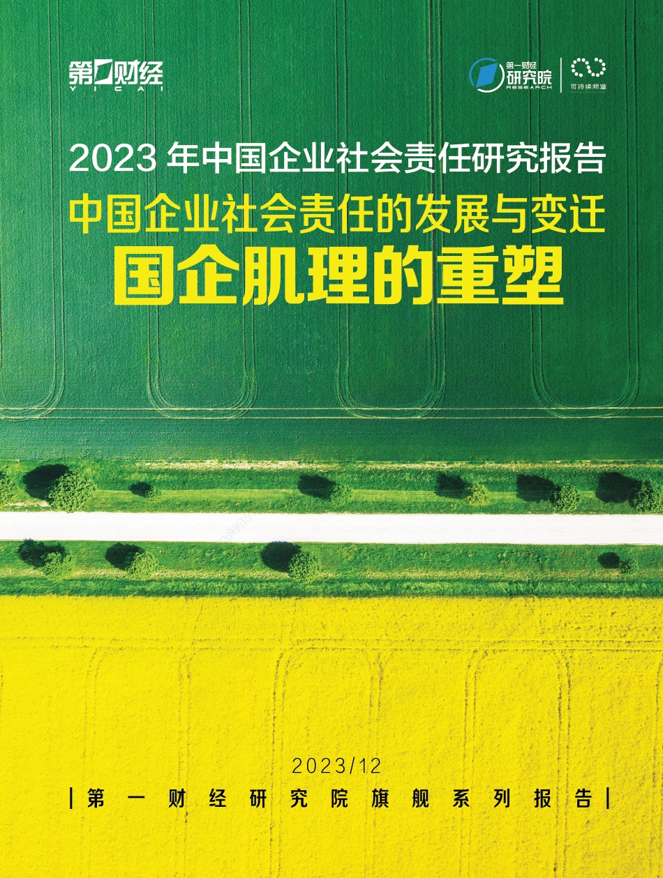 中国企业社会责任的发展与变迁-32页_第1页