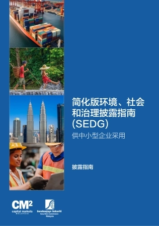 简化版环境、社会和治理披露指南（SEDG）