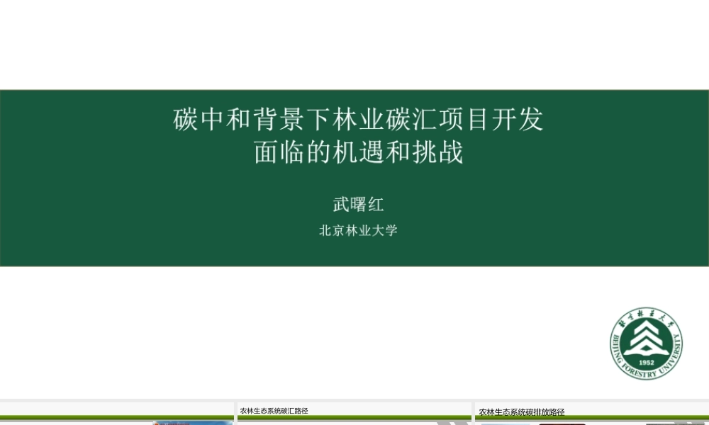 武曙红：碳中和背景下林业碳汇项目开发面临的机遇和挑战课件-45页