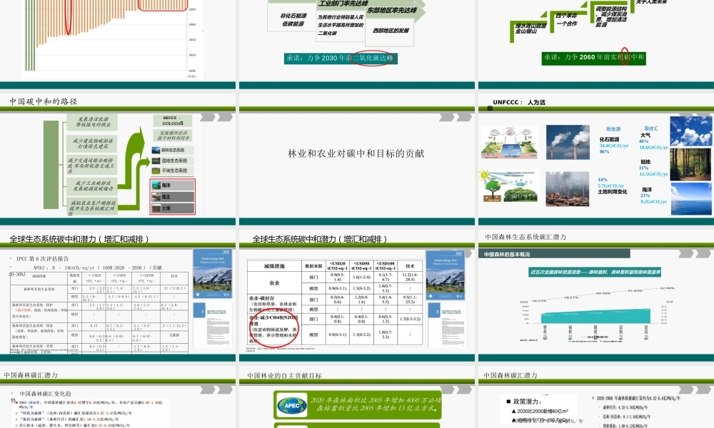 武曙红：碳中和背景下林业碳汇项目开发面临的机遇和挑战课件-45页