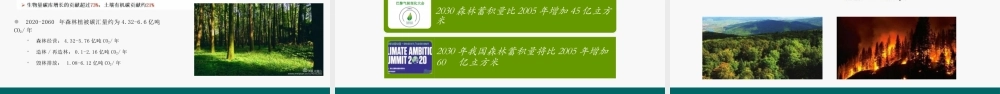 武曙红：碳中和背景下林业碳汇项目开发面临的机遇和挑战课件-45页