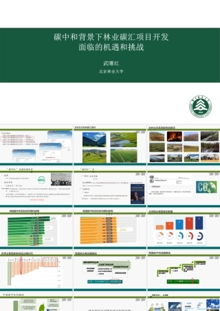 武曙红：碳中和背景下林业碳汇项目开发面临的机遇和挑战课件-45页