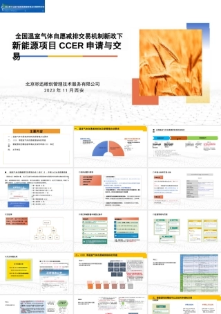 全国温室气体自愿减排交易机制新政下新能源项目CCER开发、交易与注意事项22页
