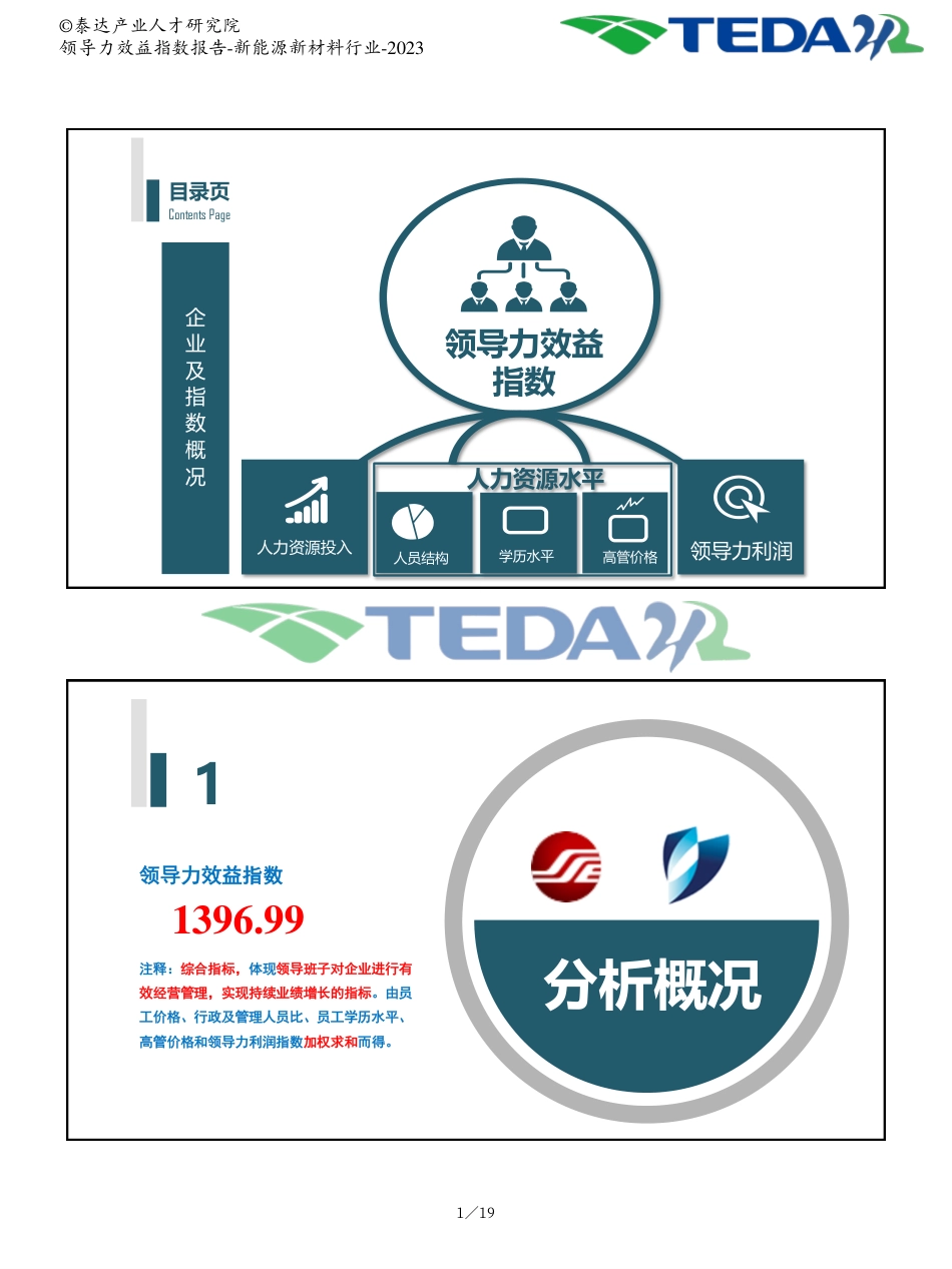 2023年企业领导力效益指数分析报告：新能源新材料行业--泰达产业人才研究院_第2页