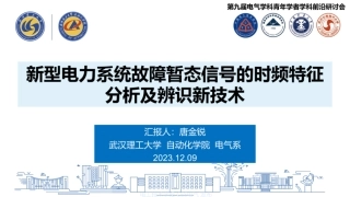 新型电力系统故障暂态信号的时频特征分析及辨识新技术报告--武汉理工大学 唐金锐