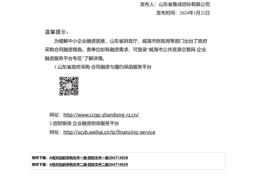 【招标】碳方案240万-威海市生态环境局威海市减污降碳协同创新试点方案项目公开招标采购公告_第3页