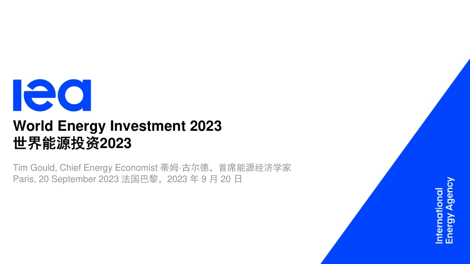 世界能源投资2023-IEA_第1页