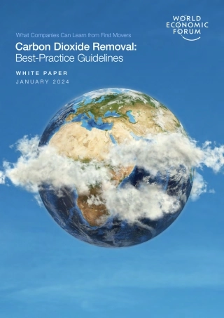 二氧化碳去除_ 最佳实践指南（英文版）--世界经济论坛
