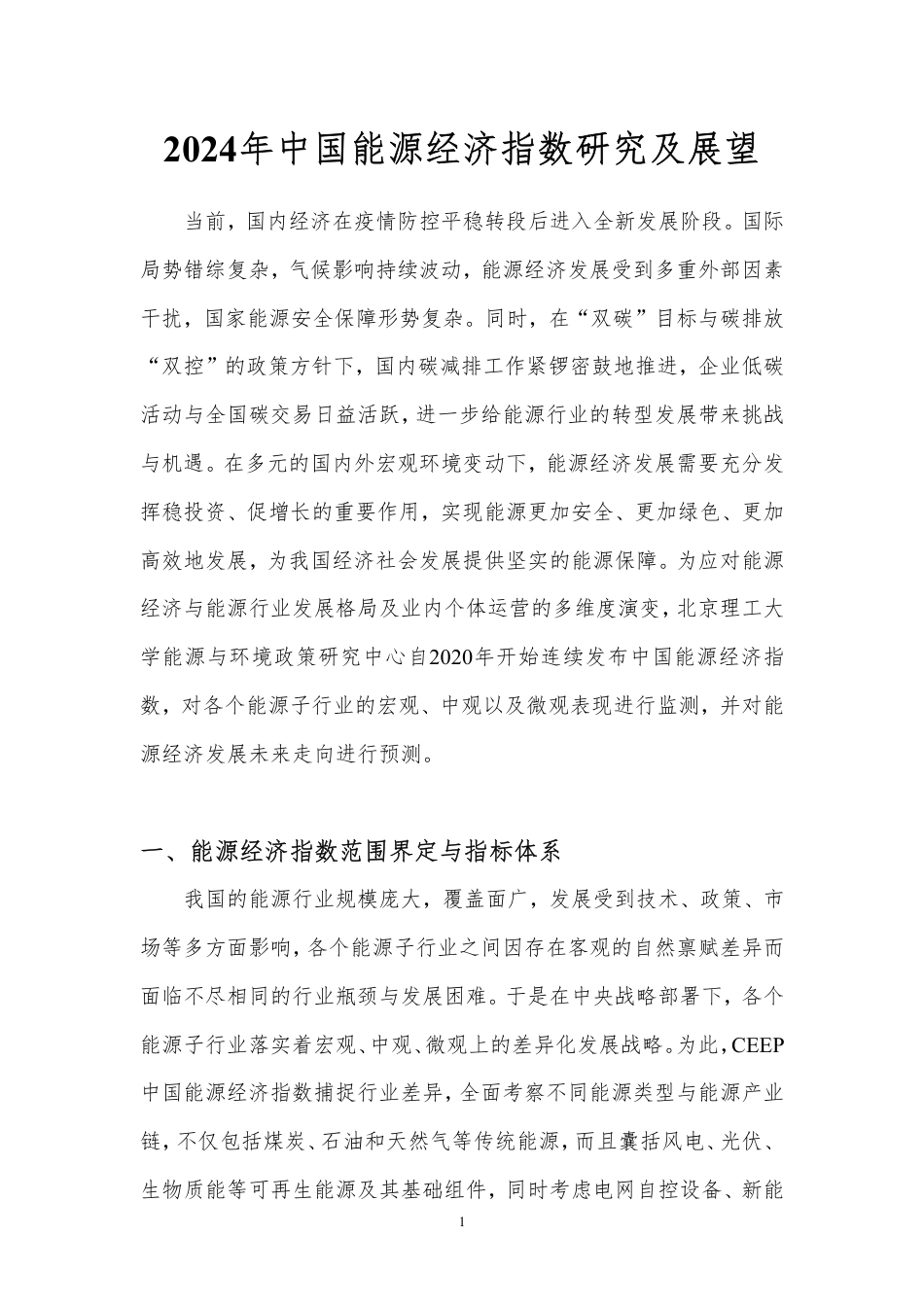 2024年中国能源经济指数研究及展望--北京理工大_第3页