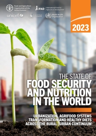 联合国粮农组织：2023年世界粮食安全和营养报告