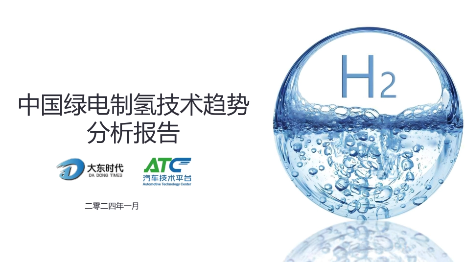 中国绿电制氢技术趋势分析报告--大东时代_第1页