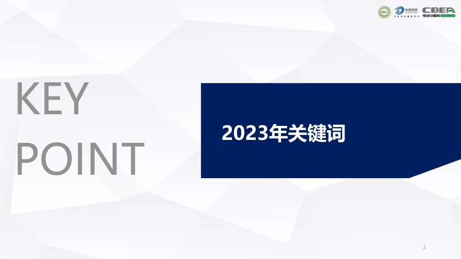 2024年全球储能行业市场趋势预测报告--大东时代_第2页
