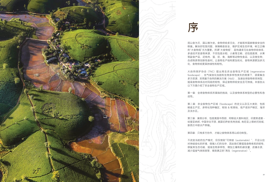 TNC：从“可持续”到“再生”：农业食物生产区域-加速全球食物体系转型_第2页